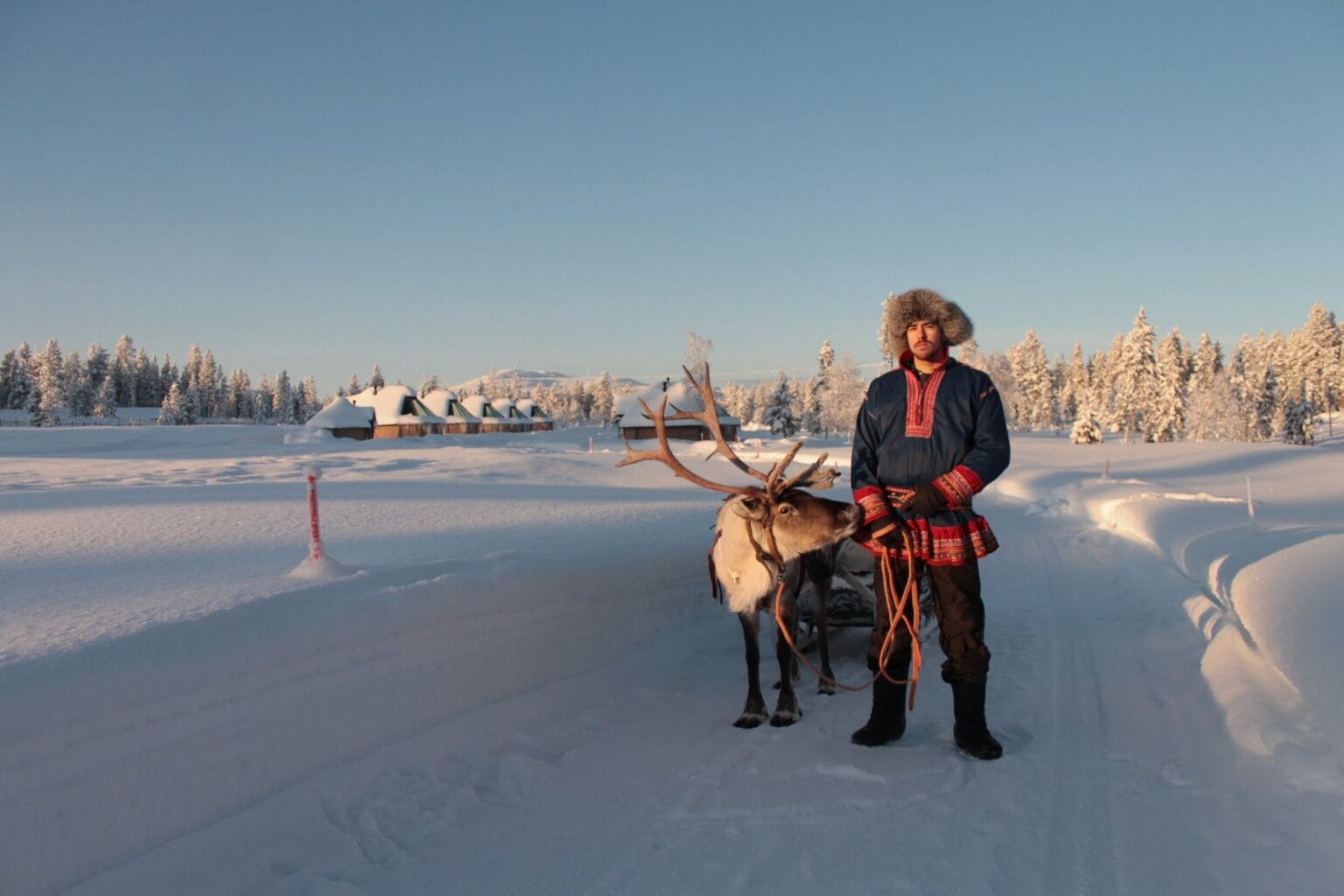 reindeer manor renifer