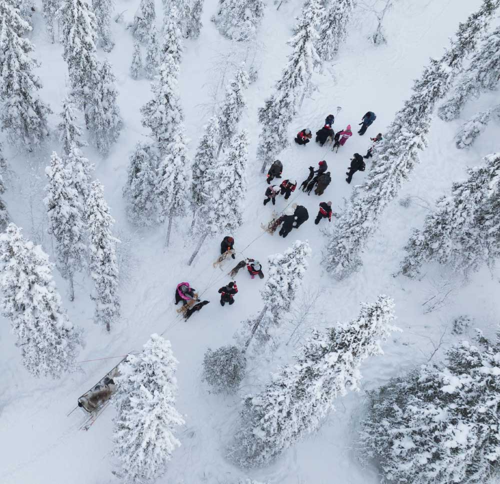 reindeer manor winter adventure included in every stay