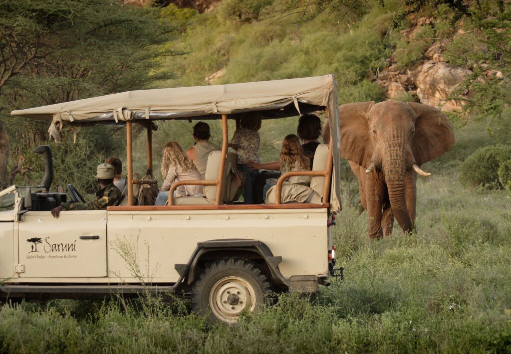 saruni samburu safari słonie