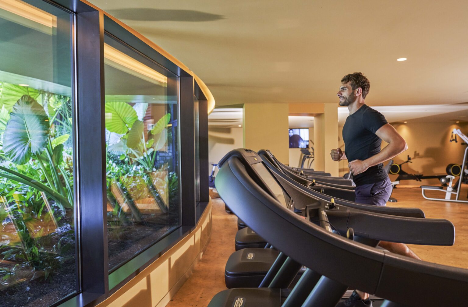14 gym