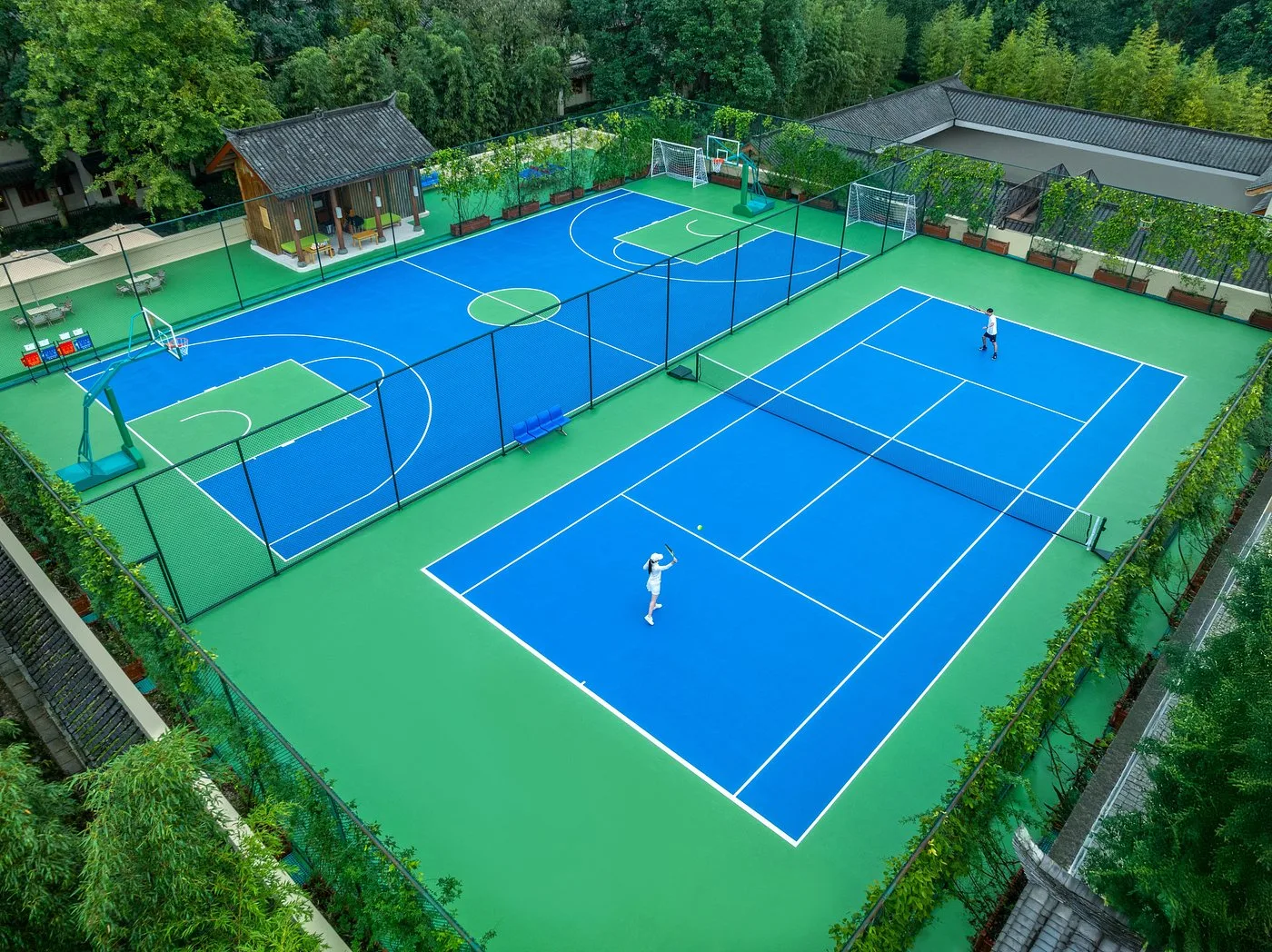 шість почуттів гірський теніс Цін Чена 1