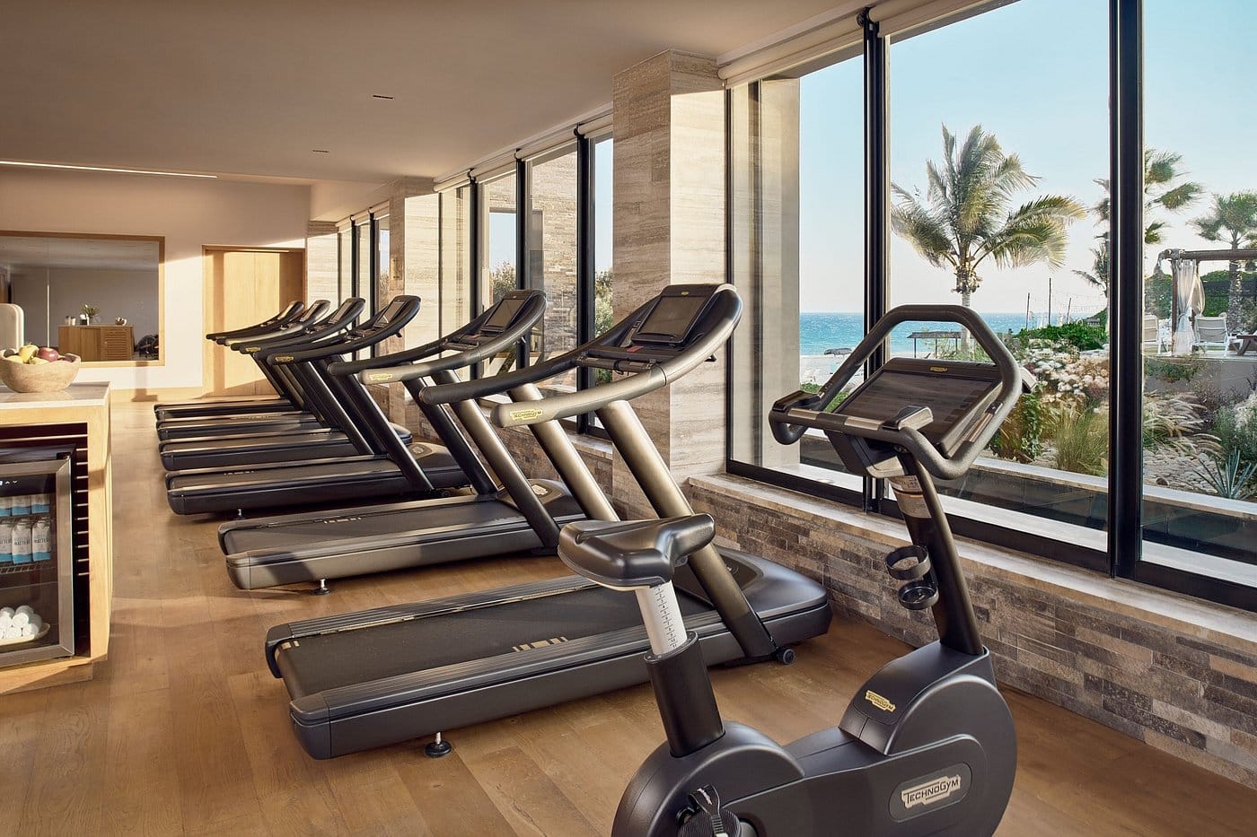 zadun a ritz carlton reserve fitness center