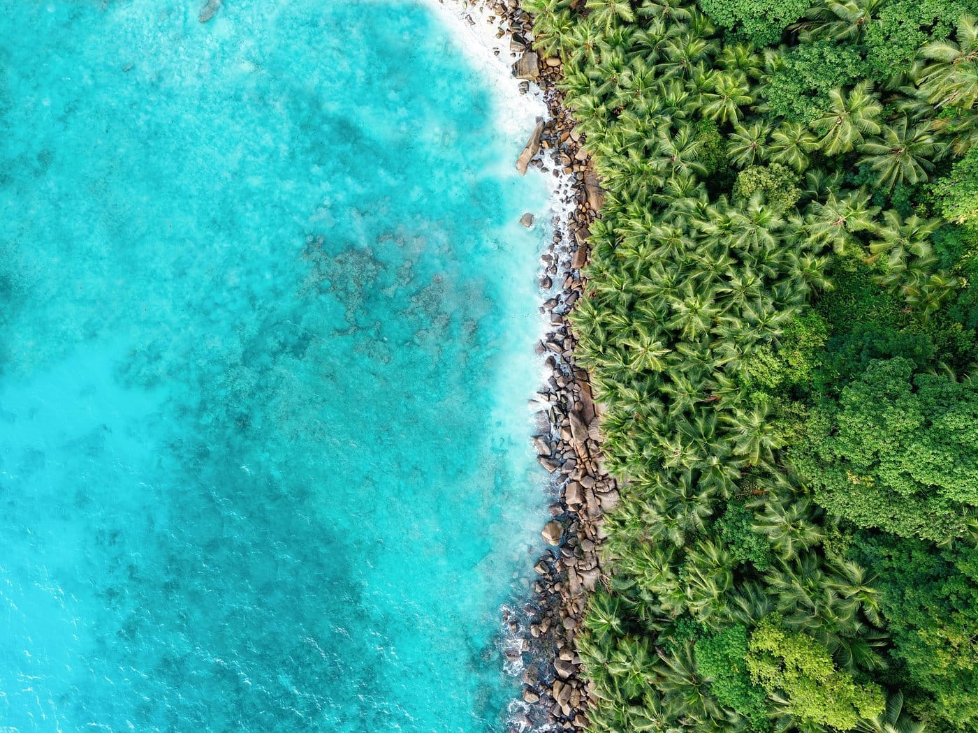 cheval blanc seychelles natura