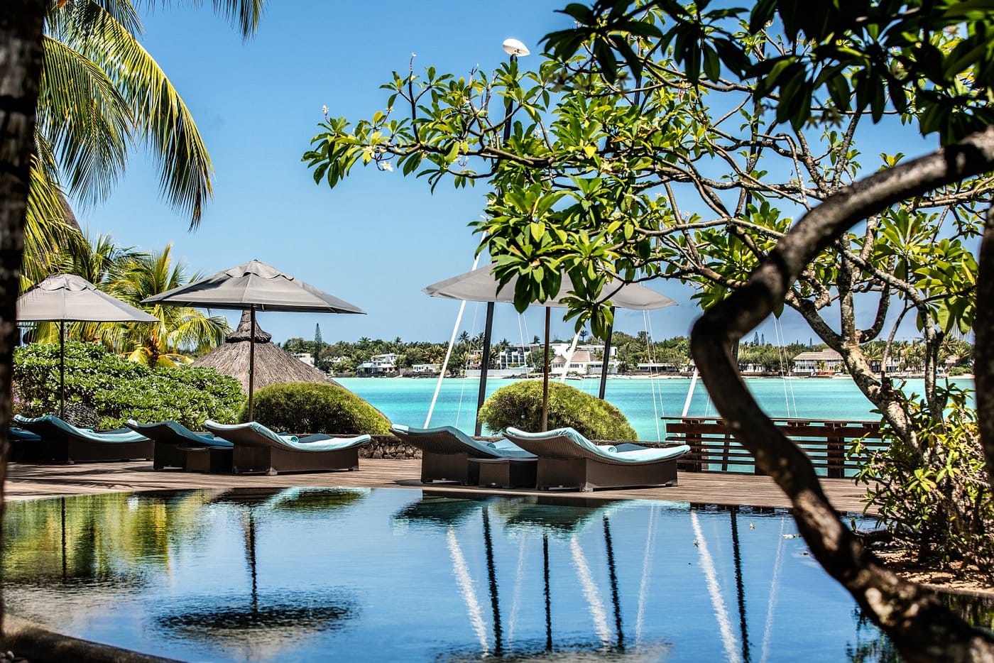 royal palm beachcomber pool sunbeds