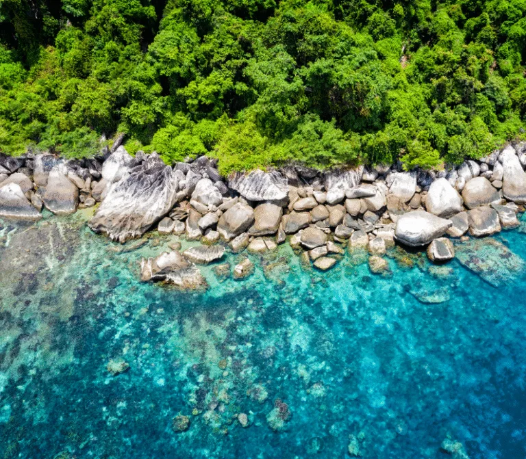 фотографії (4)