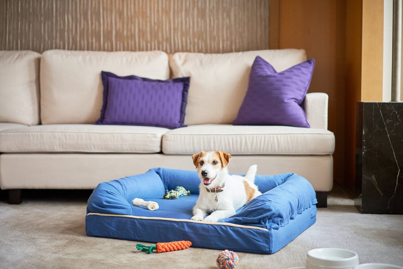 mandarin oriental tokyo zwierzęta