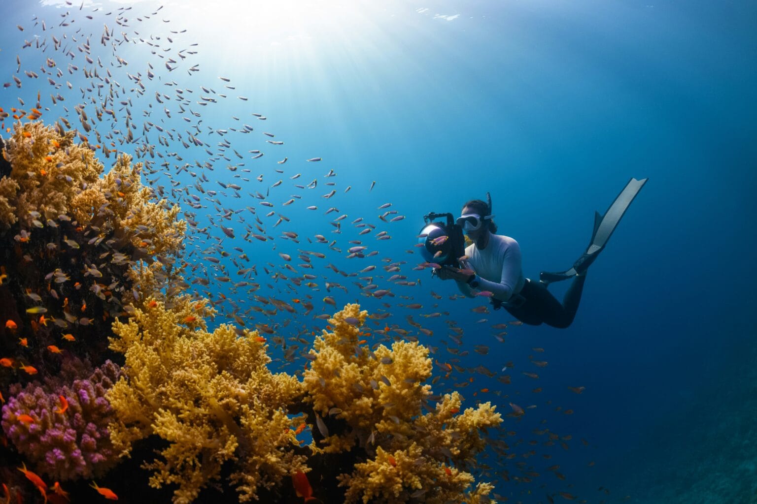 Best Diving Spots in the World: Ultimate Guide to Top Underwater Adventures