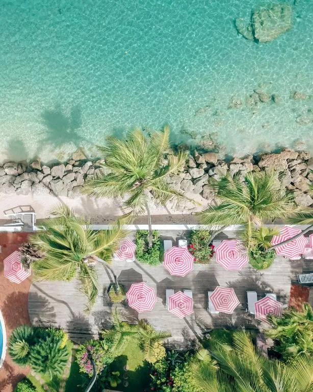 cobblers cove barbados leżaki na plaży z drona