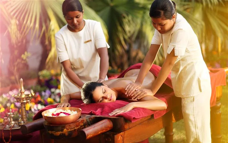 main wellness