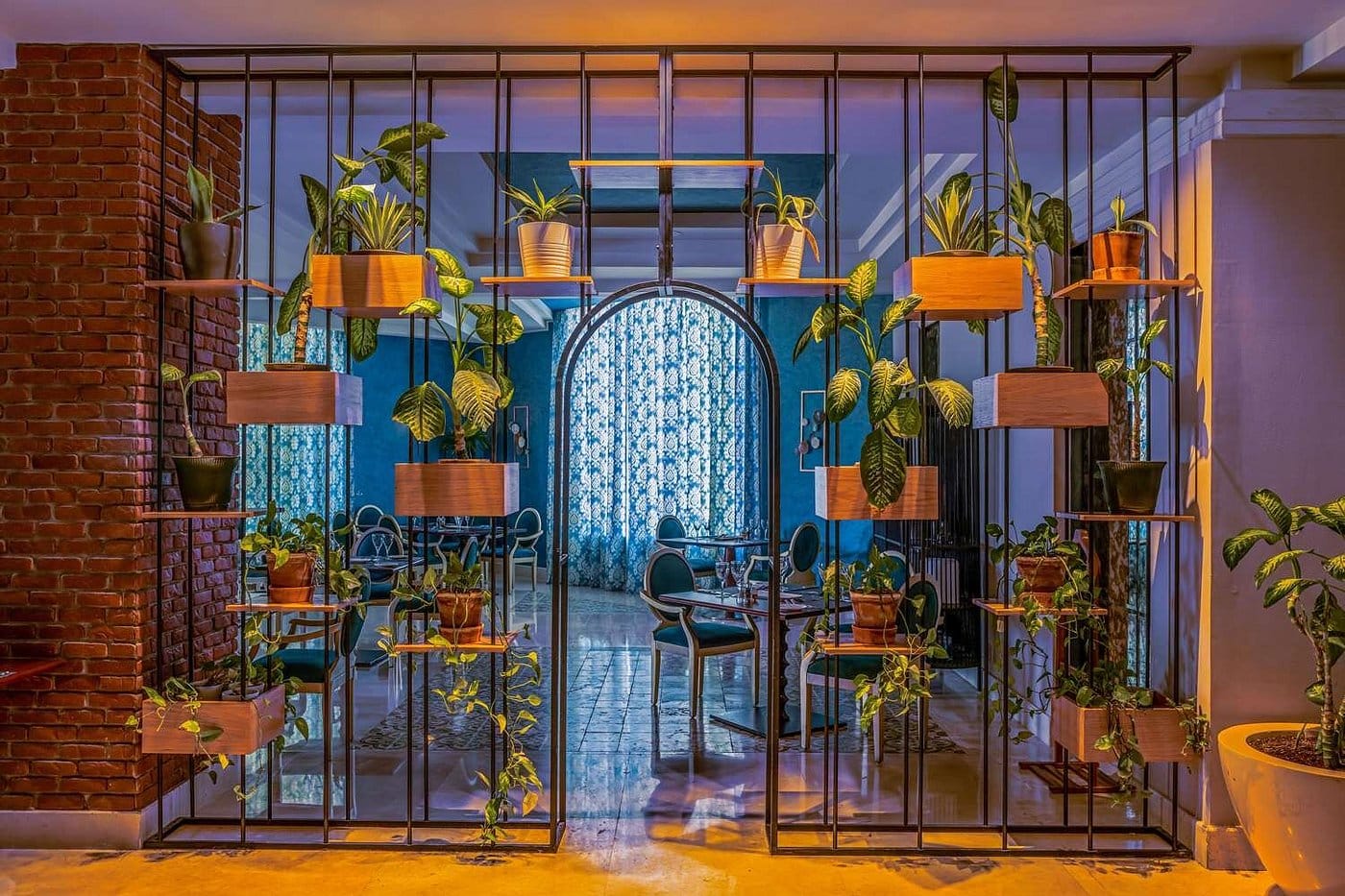 rixos sharm el sheikh adults only 18+ restauracja 1