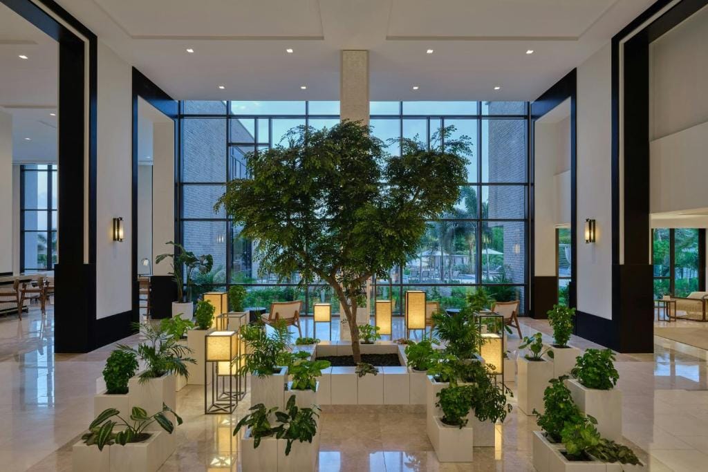 the st regis aruba resort patio