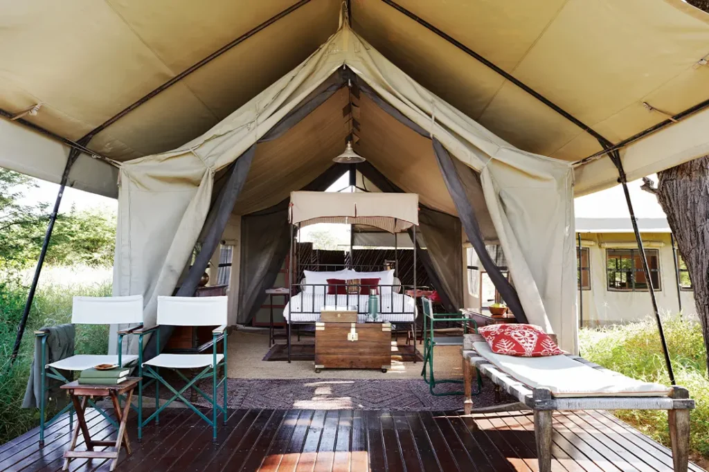 camp kalahari safari w botswanie