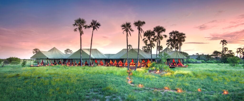 jack's camp kalahari botswana z carter