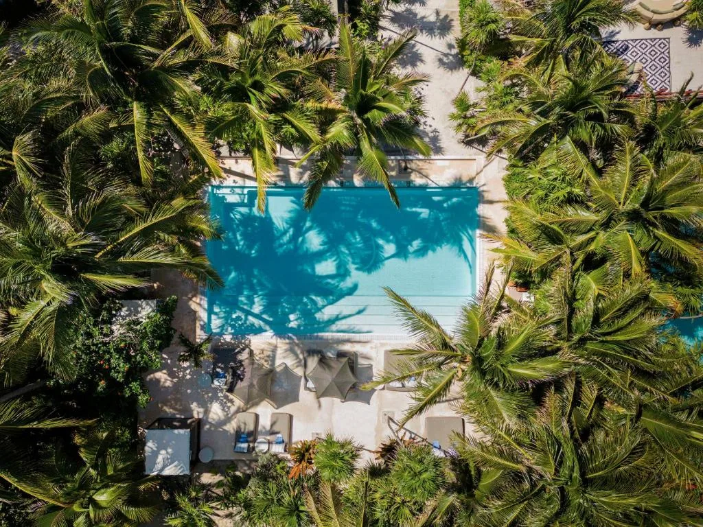 jashita hotel tulum carter basen 1