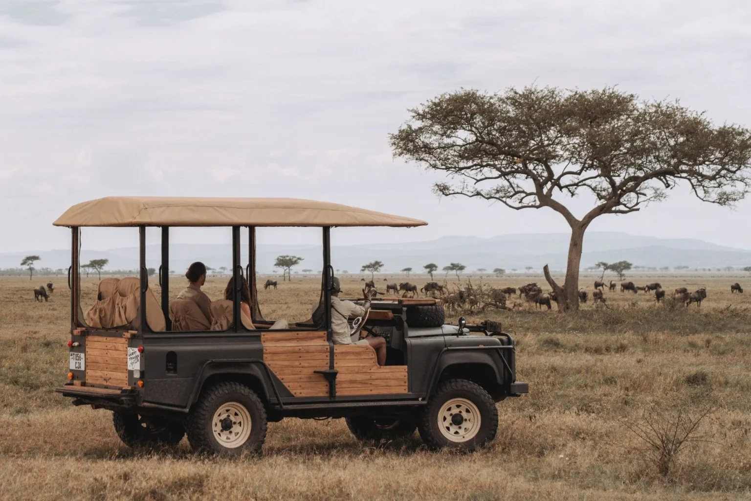 laba grumeti art lodge safari