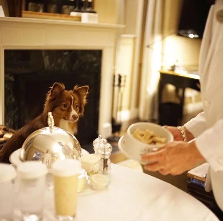 Готель Лоуелл - 15 найкращих готелів США