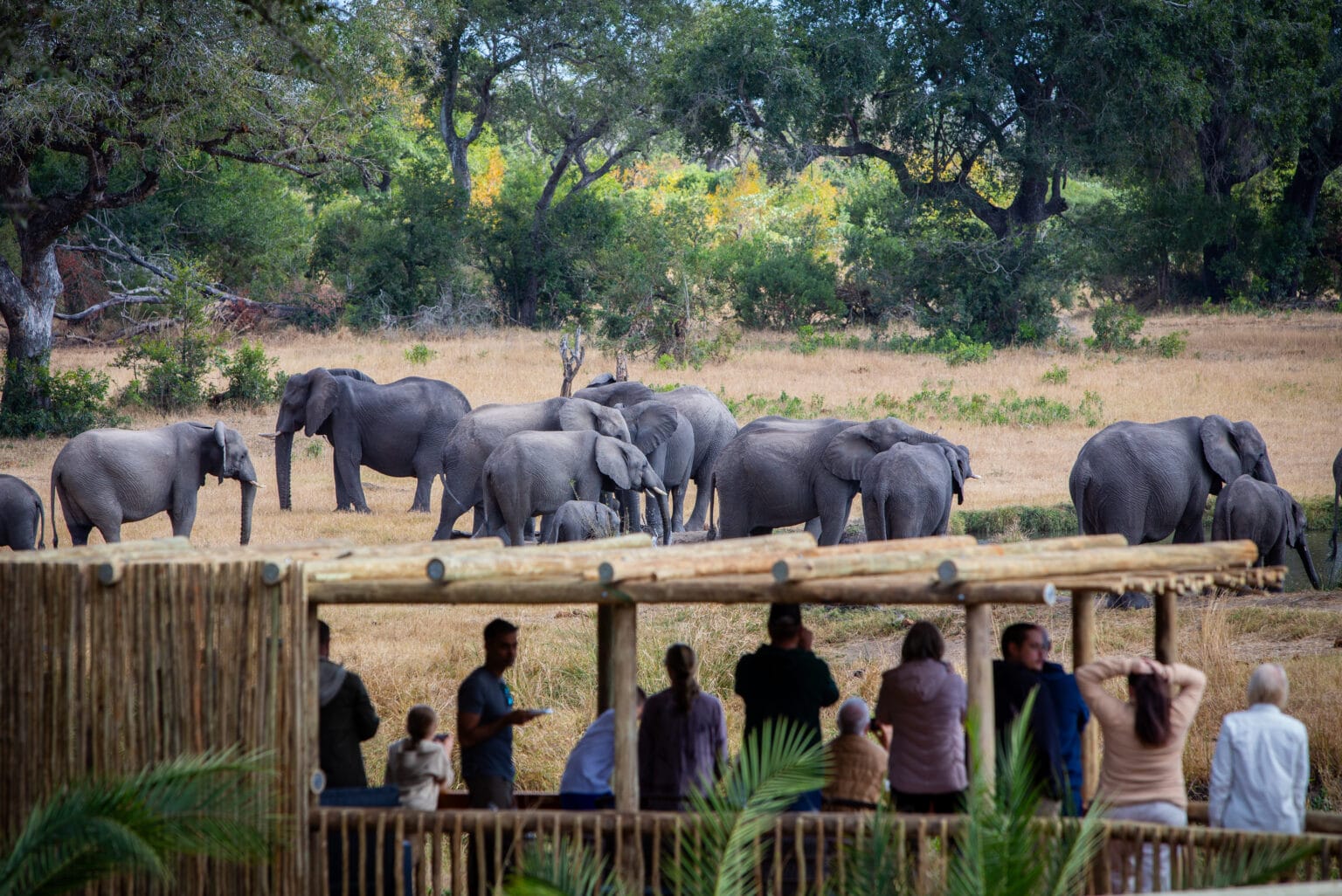 bush lodge safari rpa biuro podróży carter (2)