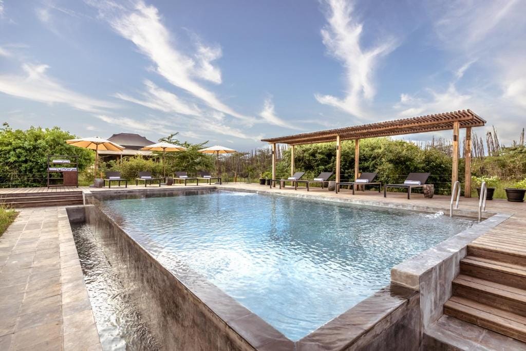 jw marriott masai mara lodge basen zewnętrzny