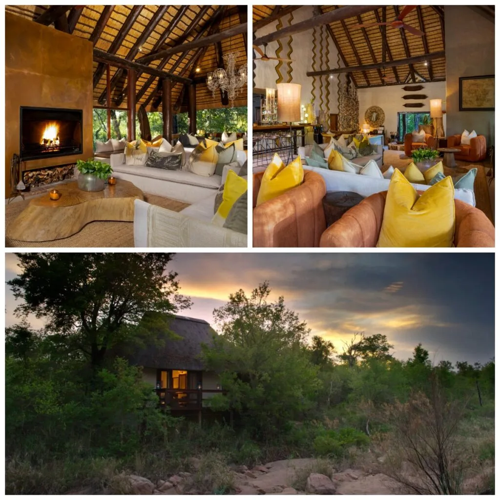 little bush camp blog carter