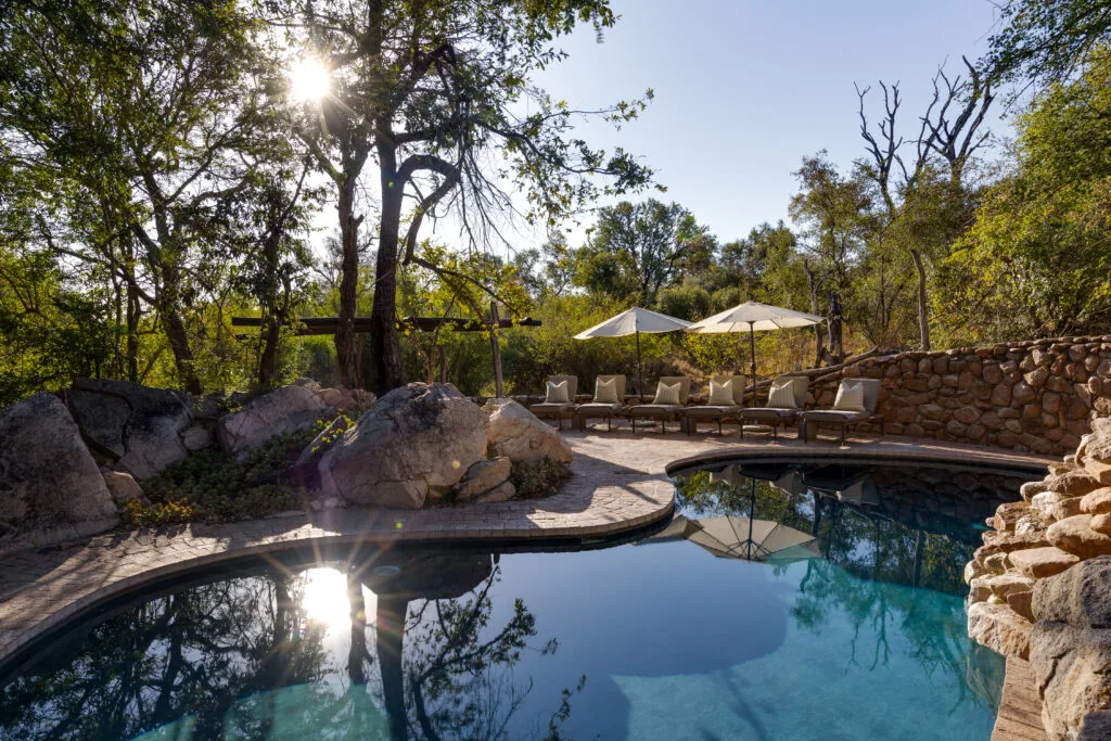 little bush camp sabi sabi safar biuro podróży carter (13)