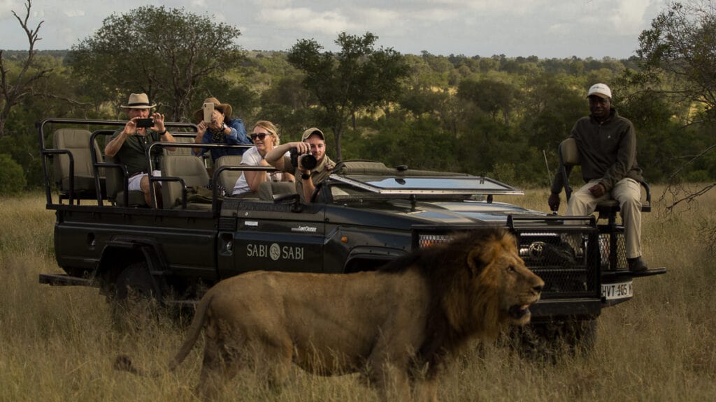 onsafari (5) (1)