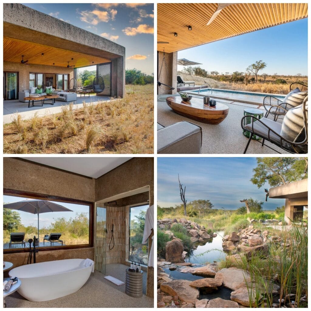 sabi sabi blog carter