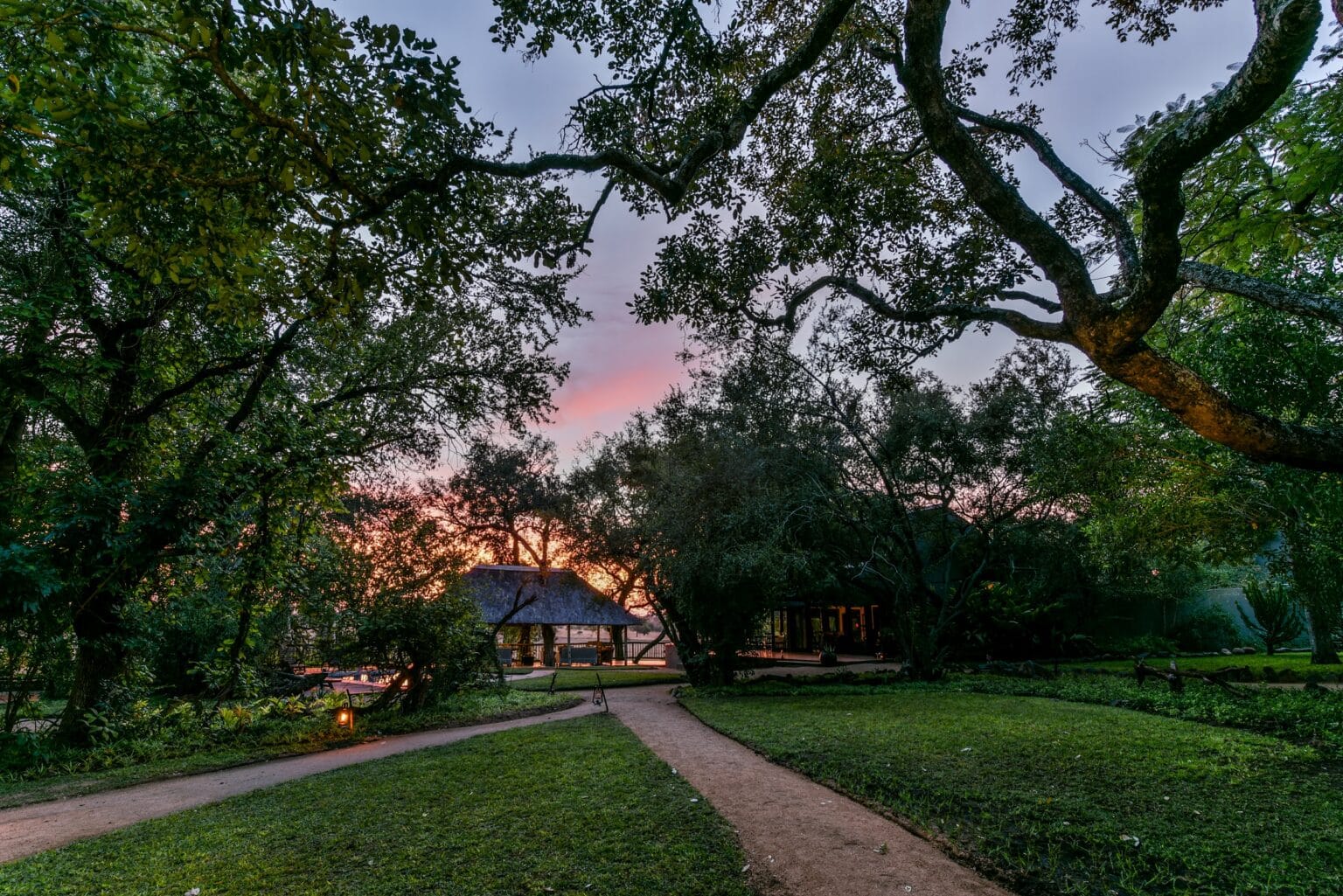 selati camp safari w afryce biuro podróży carter (22)
