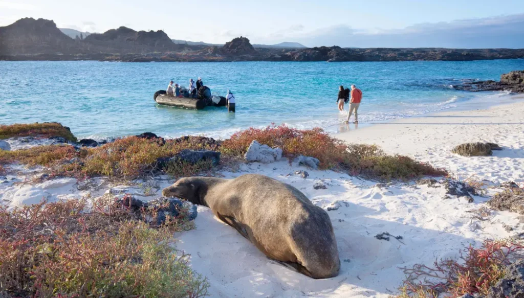 aqua mare rejsy na galapagos z carter
