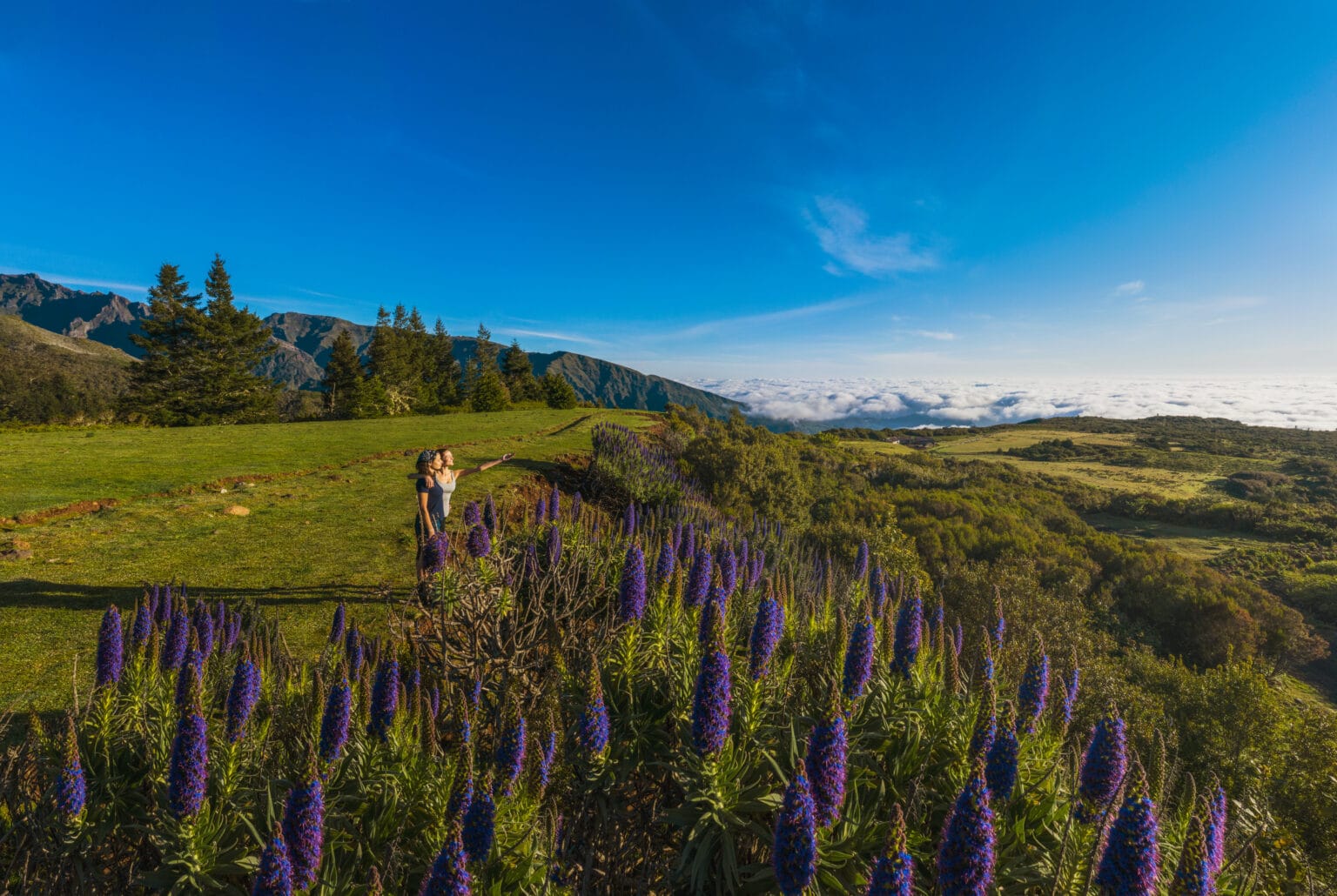 chao da feiteiras1©henrique seruca