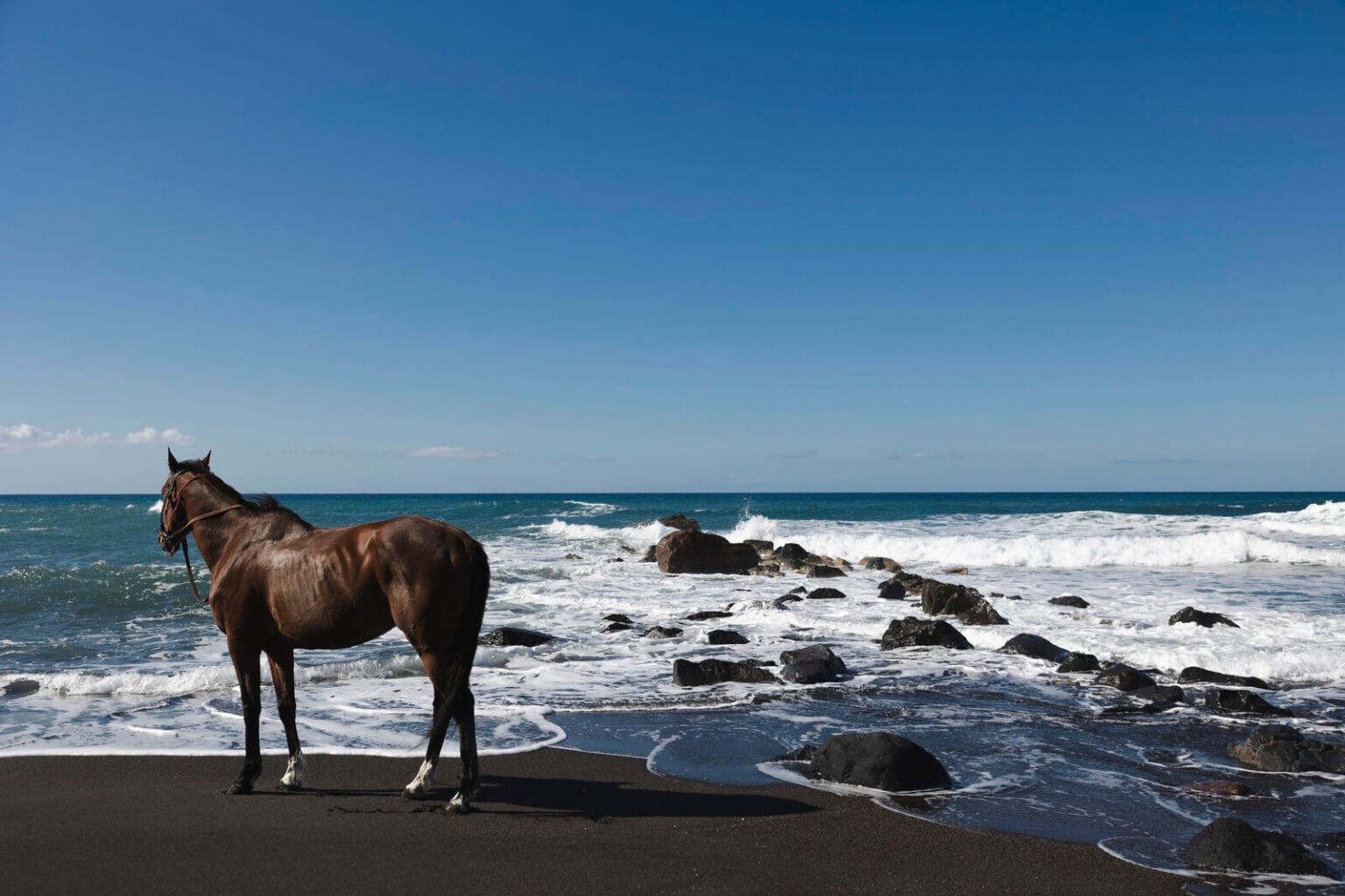 domes novos santorini, autograph collection biuro carter (24)