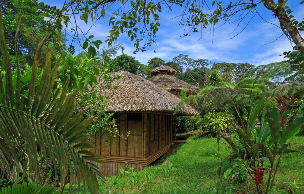 la selva eco lodge retreat 4