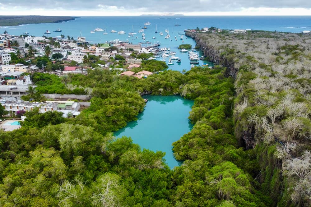 pikaia lodge galapagos14