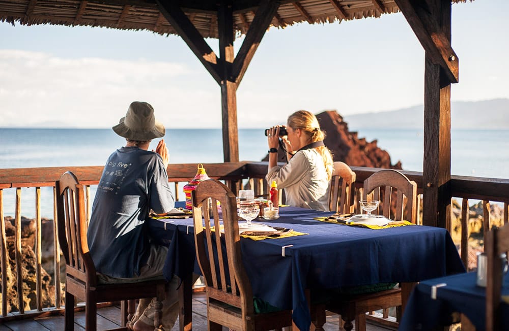 grupa przyjaciół obserwująca przyrodę podczas obiadu