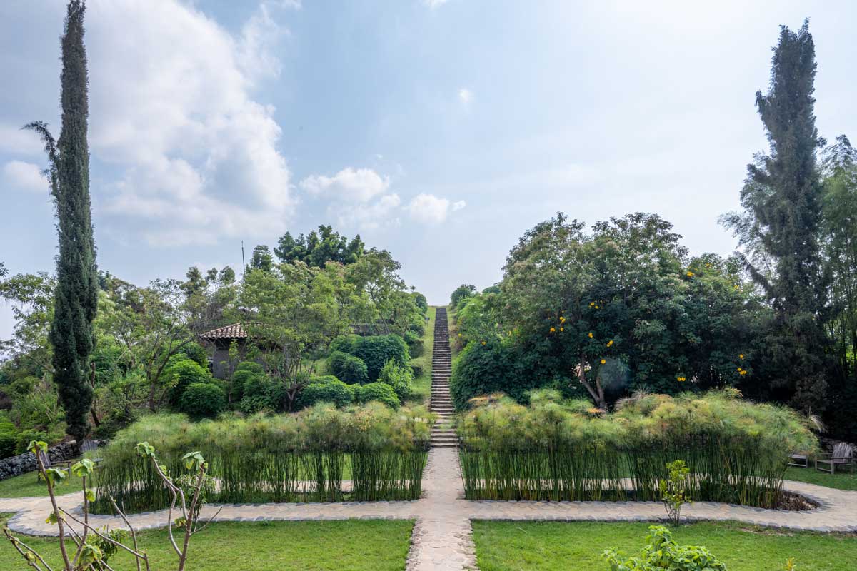 14 virunga lodge gardens 001