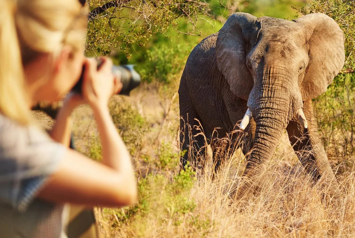 Fotograficzne safarii w Zambii - wycieczka z biurem podróży Carter ®