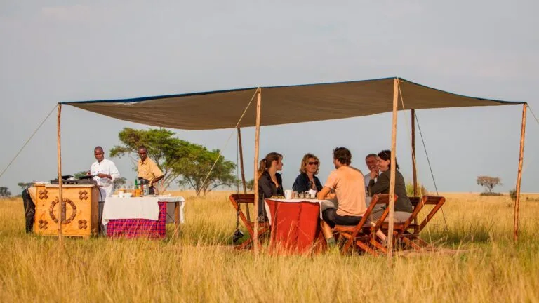 Ishasha Wilderness Camp Queen Elizabeth National Park Uganda Tours