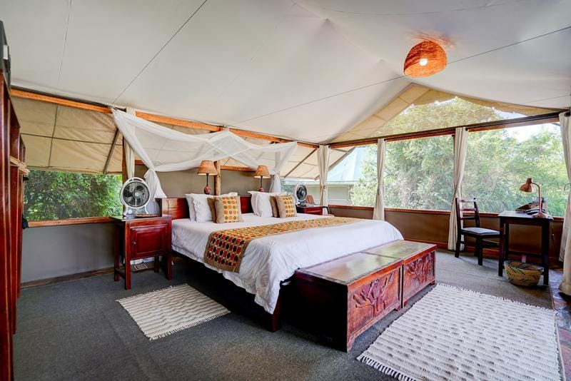 Ishasha sector Queen Elizabeth sypiania