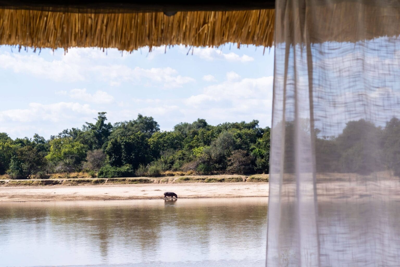 widok z namiotu Time-Tide-Mchenja-Zambia na przyrodę i safari