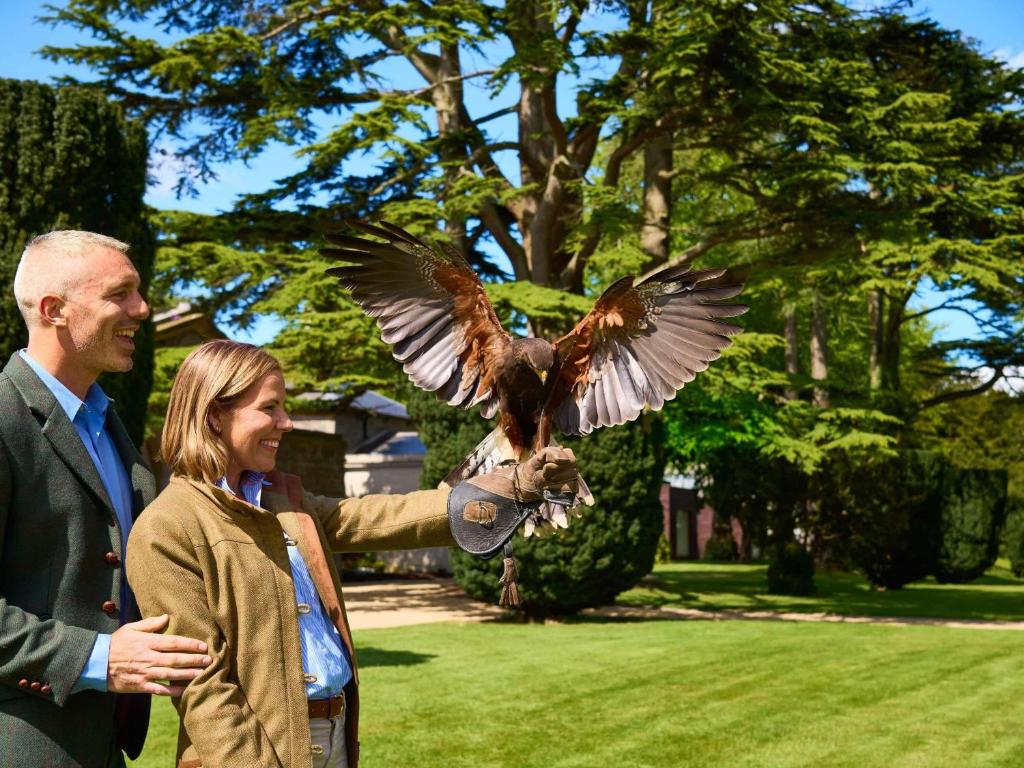 carton house a fairmont managed hotel możliwość spotkania z sową