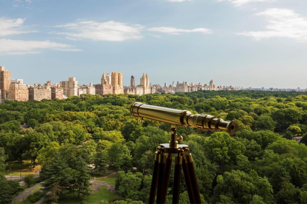the ritz carlton new york central park lornetka na central park