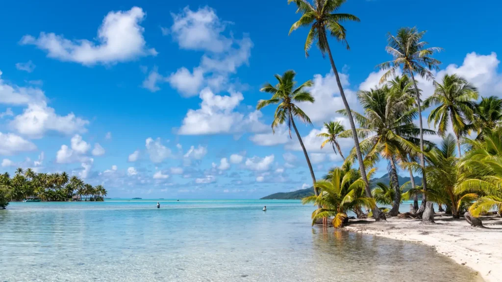Society Islands & Tuamotus