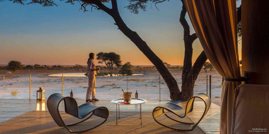 park etosha namibia