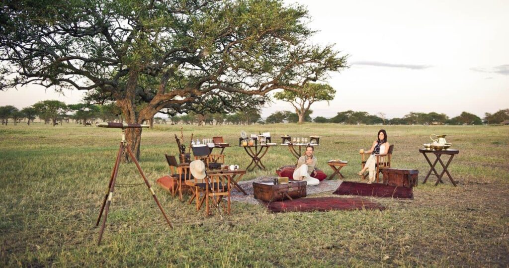 singita sabora safari w tanzanii z carter