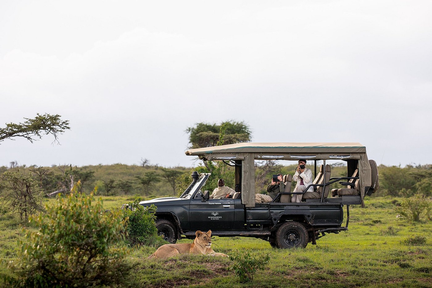 game drive experience