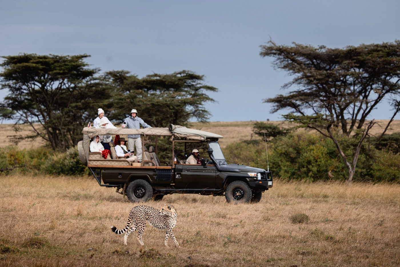 game drive