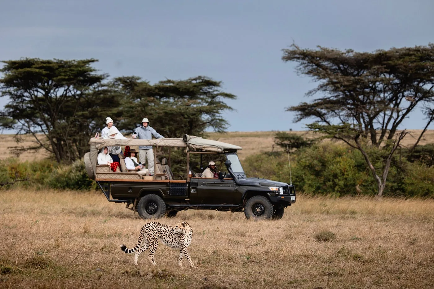 game drives