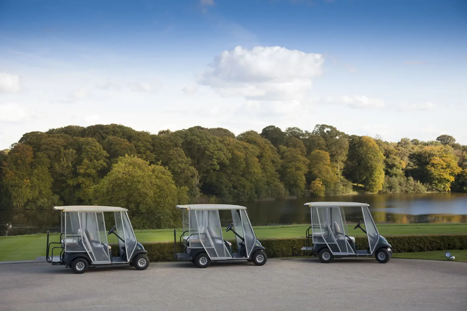 golf buggys
