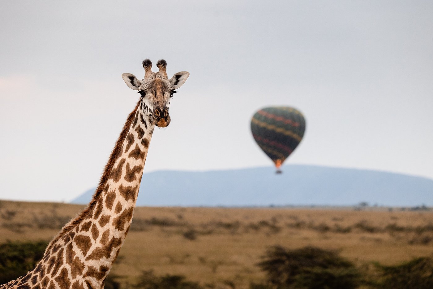 hot air balloon activity
