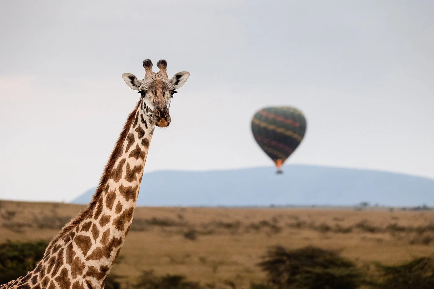 hot air balloon activity