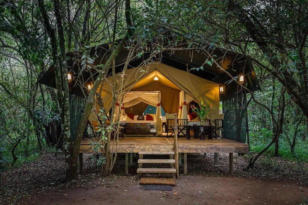 luxury guest tent (1)